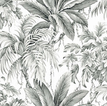 Carl Robinson St Andrew Behang – Luxe Botanisch Bladbehang | The Wall 19
