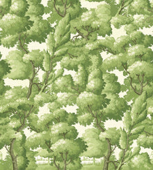 Behang Southwark – Young Leaf
