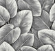 Lush Leaf - Jet